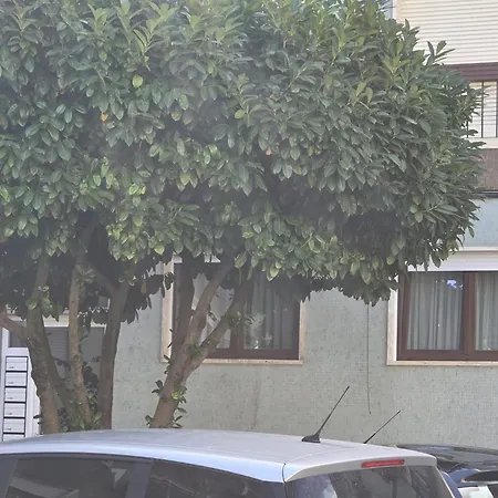 Casa Da Praceta Apartamento Torres Vedras